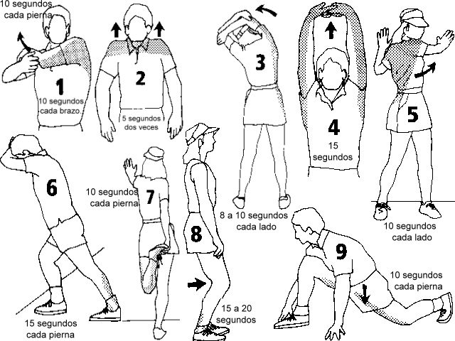 LOS MUSCULO Y EL DEPORTE los musculo y el deporte: