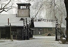 EBREI CON GESU': Liliana Segre: Erede della memoria è colui che ascolta