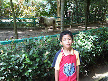 Zoo lok kawi