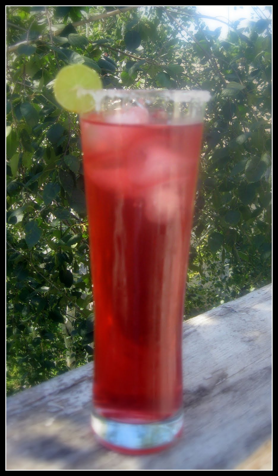 jamaica drink flower jamaica drink flower