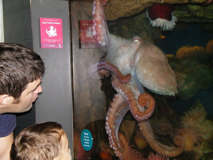 Aquarium News and Updates