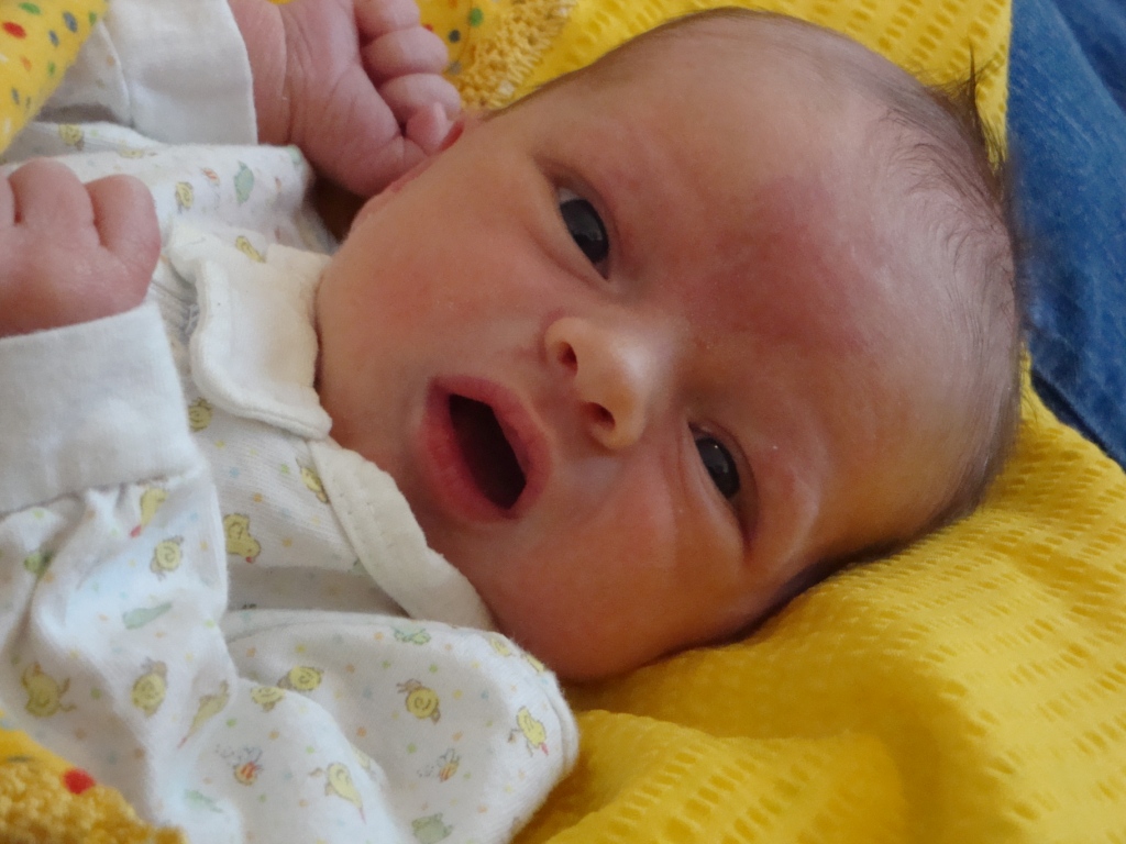 Little Benjamin