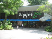 [200px-Singapore_Zoo.JPG]