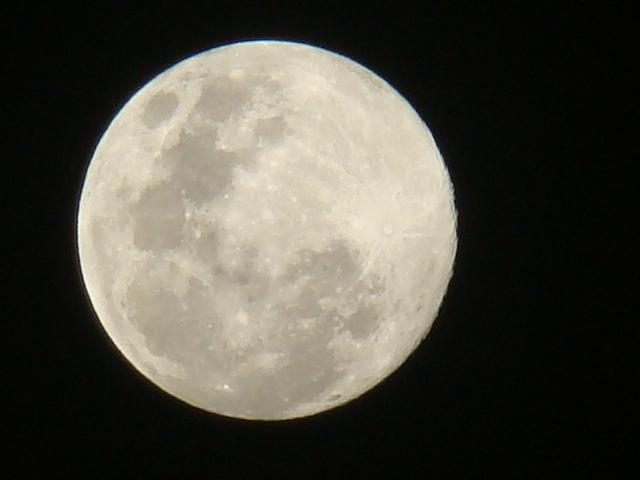 [DSC05668.JPG]