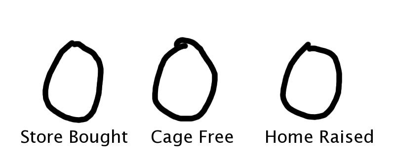 [Eggs.jpg]