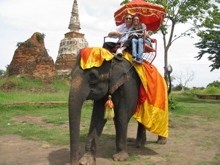 Bangkok Tales Riding Elephants in Thailand