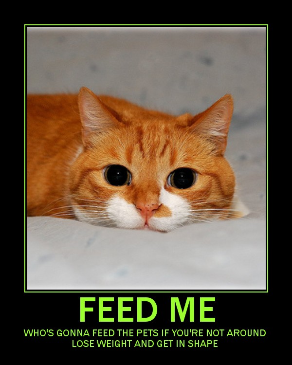 Motivational Diet Poster