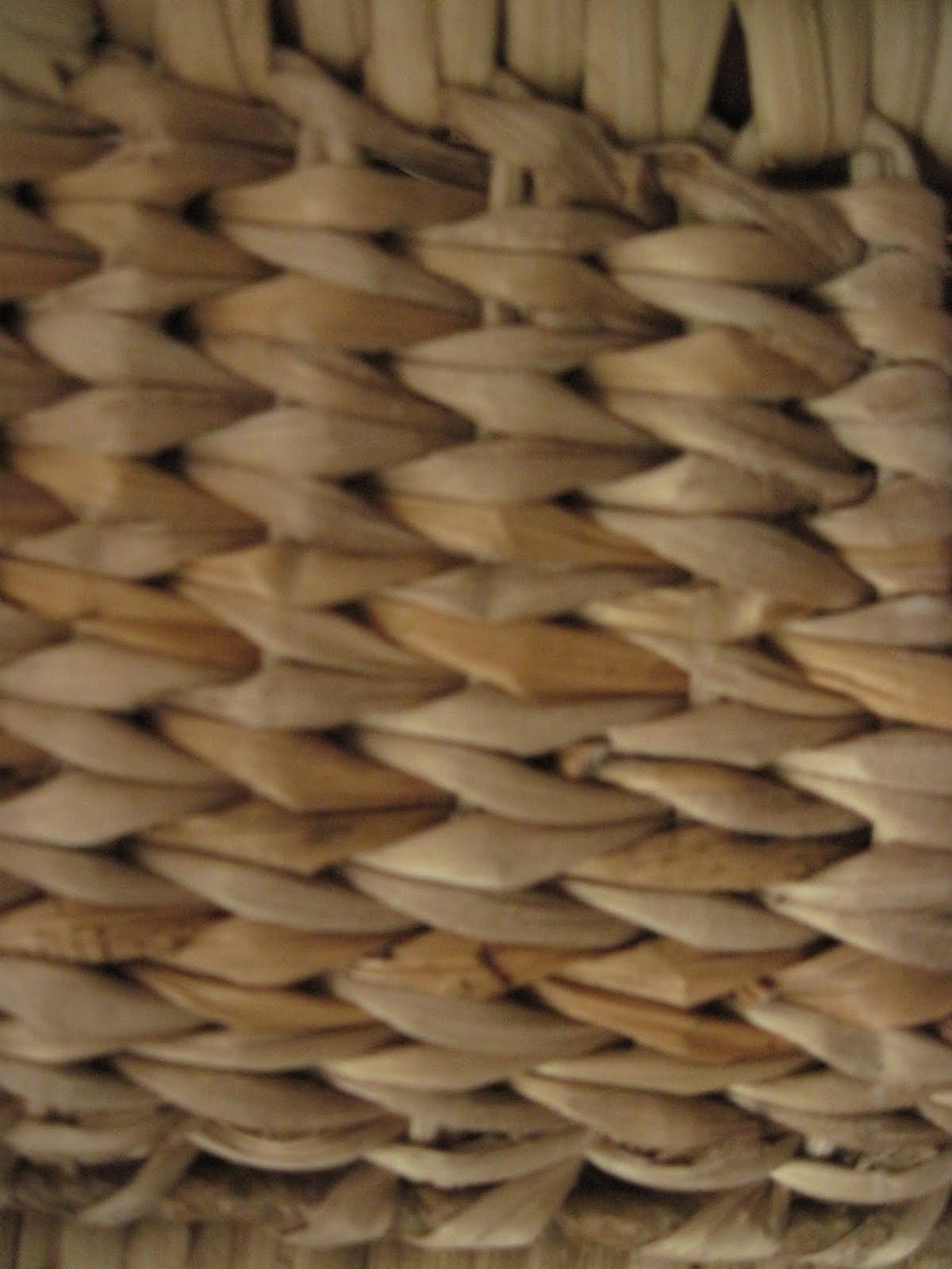 Tradition made Contemporary Weave exploration with cane and banana fibre