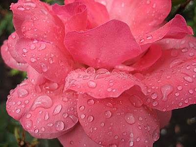 http://4.bp.blogspot.com/_WD8w7x0h8kA/S42SkZ7HjQI/AAAAAAAAAE4/Odd5vMw7Xb4/s400/%26%23381175.jpg