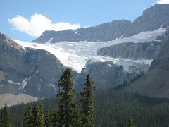 Crowfoot Glacier