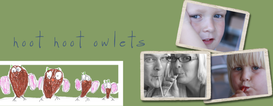 hoot hoot owlets