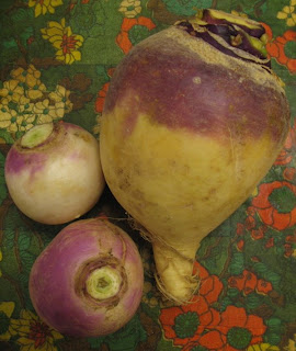 Rutabaga And Turnip