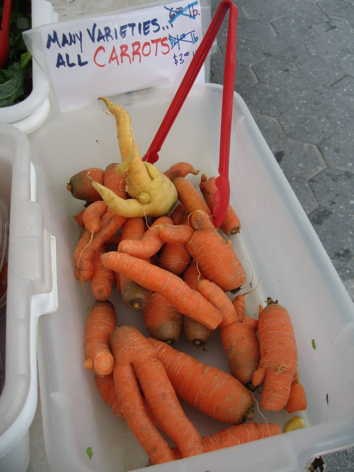 [twistedcarrots.jpg]