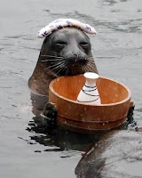 Foca Ofuro
