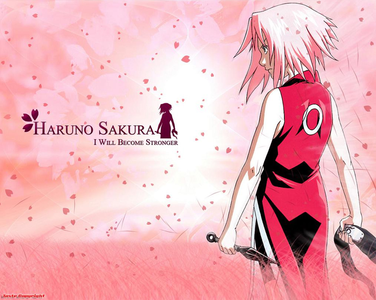 sakura nova main character sakura nova main character