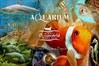 Oceanworld Aquarium