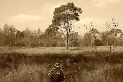 Herfst sepia