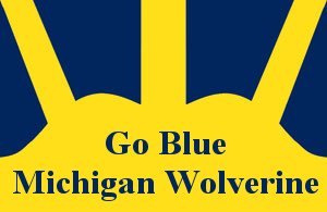 [GoBlueMichiganWolverine.jpg]