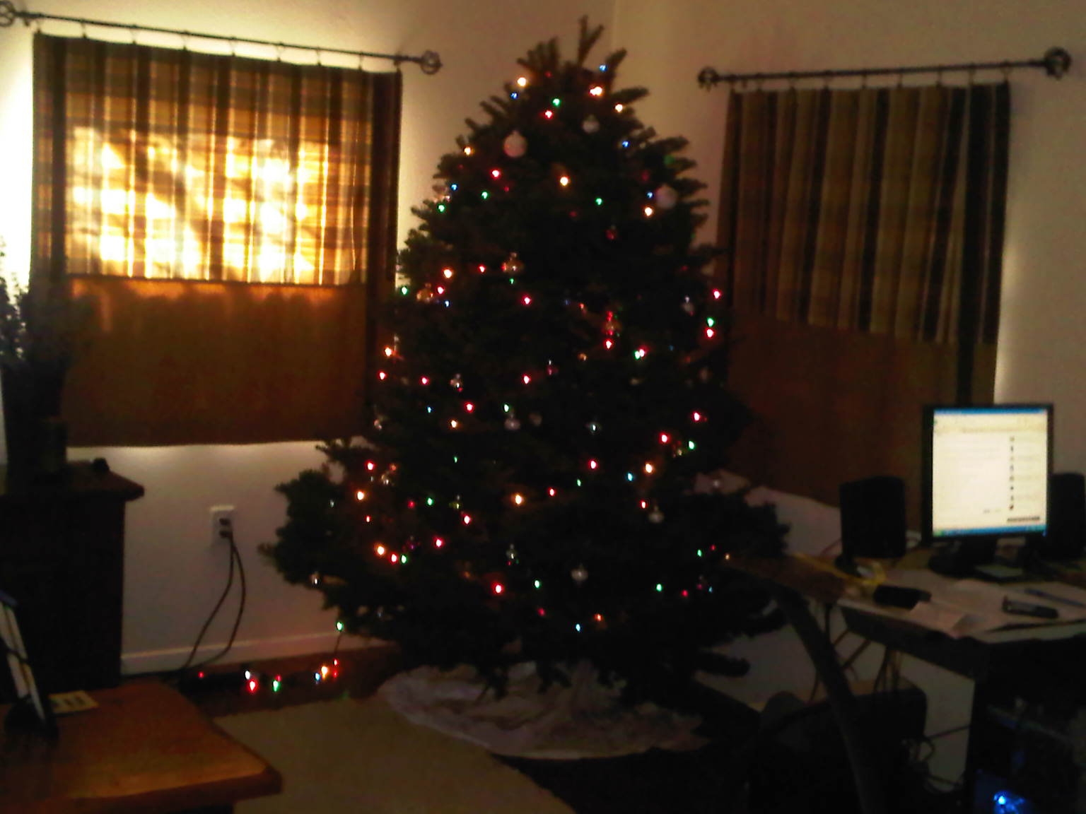 1st adult Christmas tree 1st adult Christmas tree