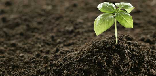 FERTILIZER ETF