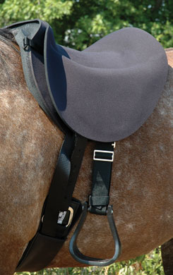 [bareback_cashel.jpg]