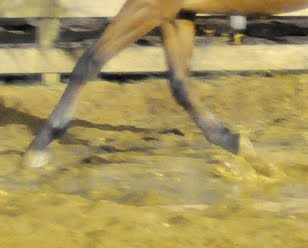 [riding_puddle.jpg]
