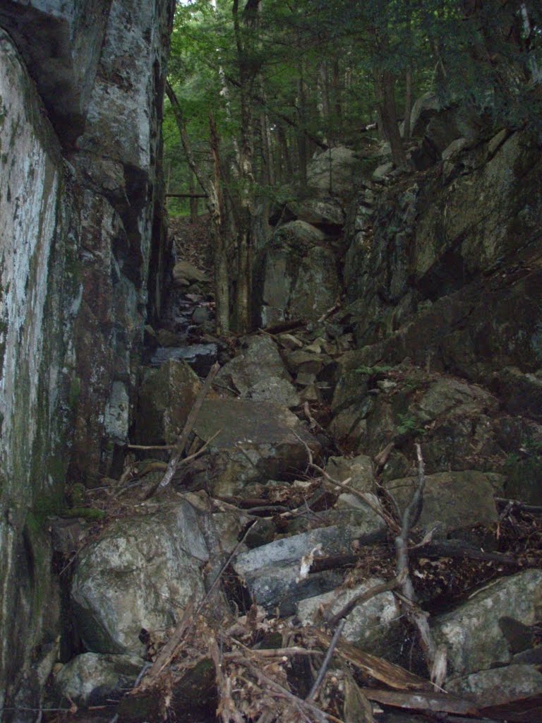 [P8280065.jpg]