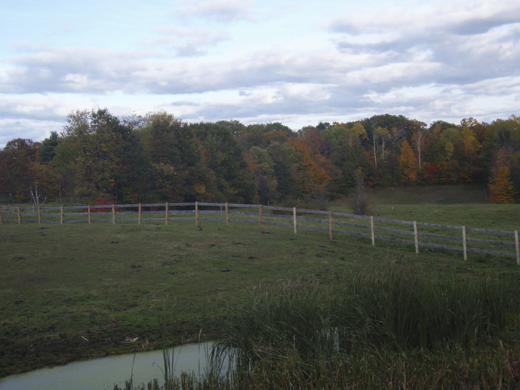 [fall_pond.gif]