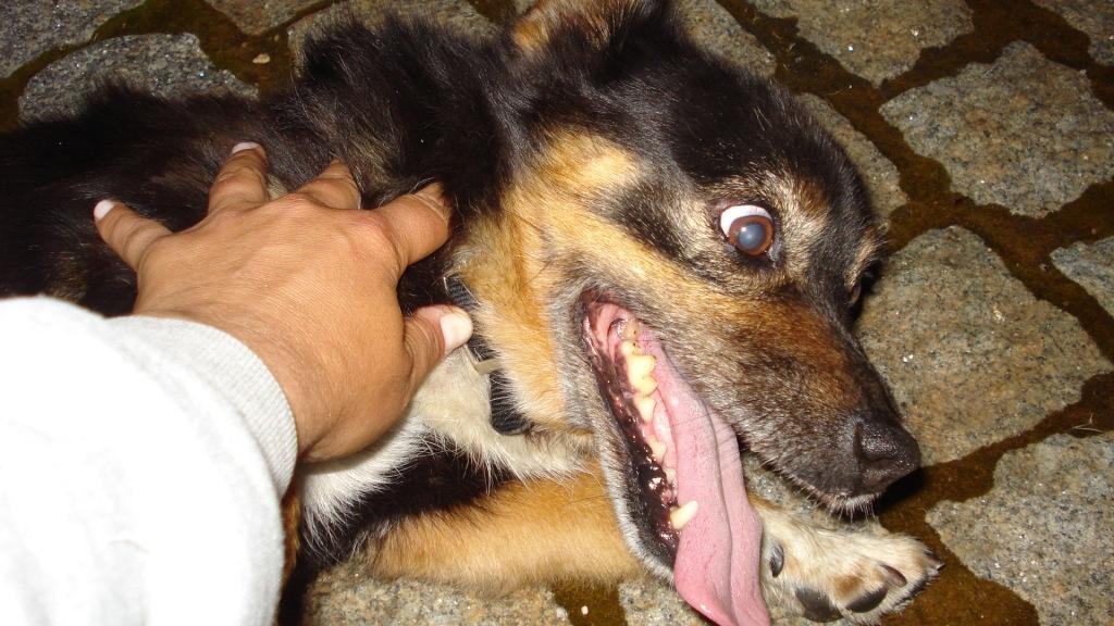 [DSC01199.JPG]