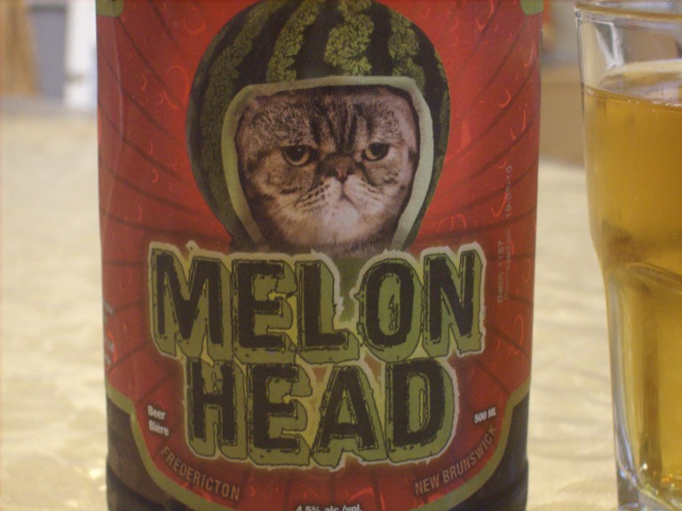 cat watermelon head