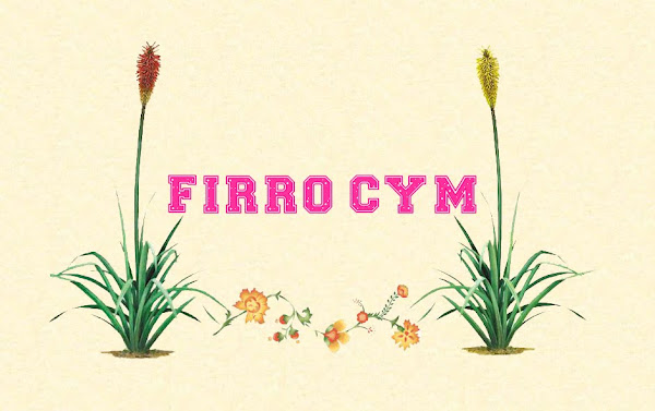 firro_cym