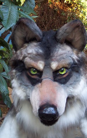 [wolf_mask_updated_by_LilleahWest.jpg]