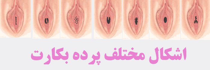 گروه اینترنتی پرشین استار و اهمیت آراستگی و آرایش خانم ها و گروه اینترنتی پرشین استار و اهمیت آراستگی و آرایش خانم ها و