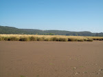 Paisaje de humedal en baja marea