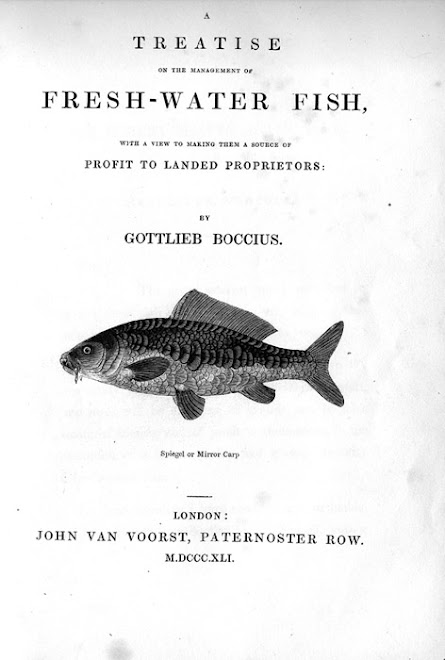 Gottlieb Boccius's book