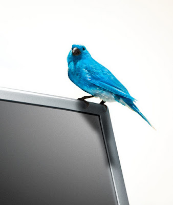Twitter lança Twitter Tales: nossos usuários, suas histórias Twitter lança Twitter Tales: nossos usuários, suas histórias