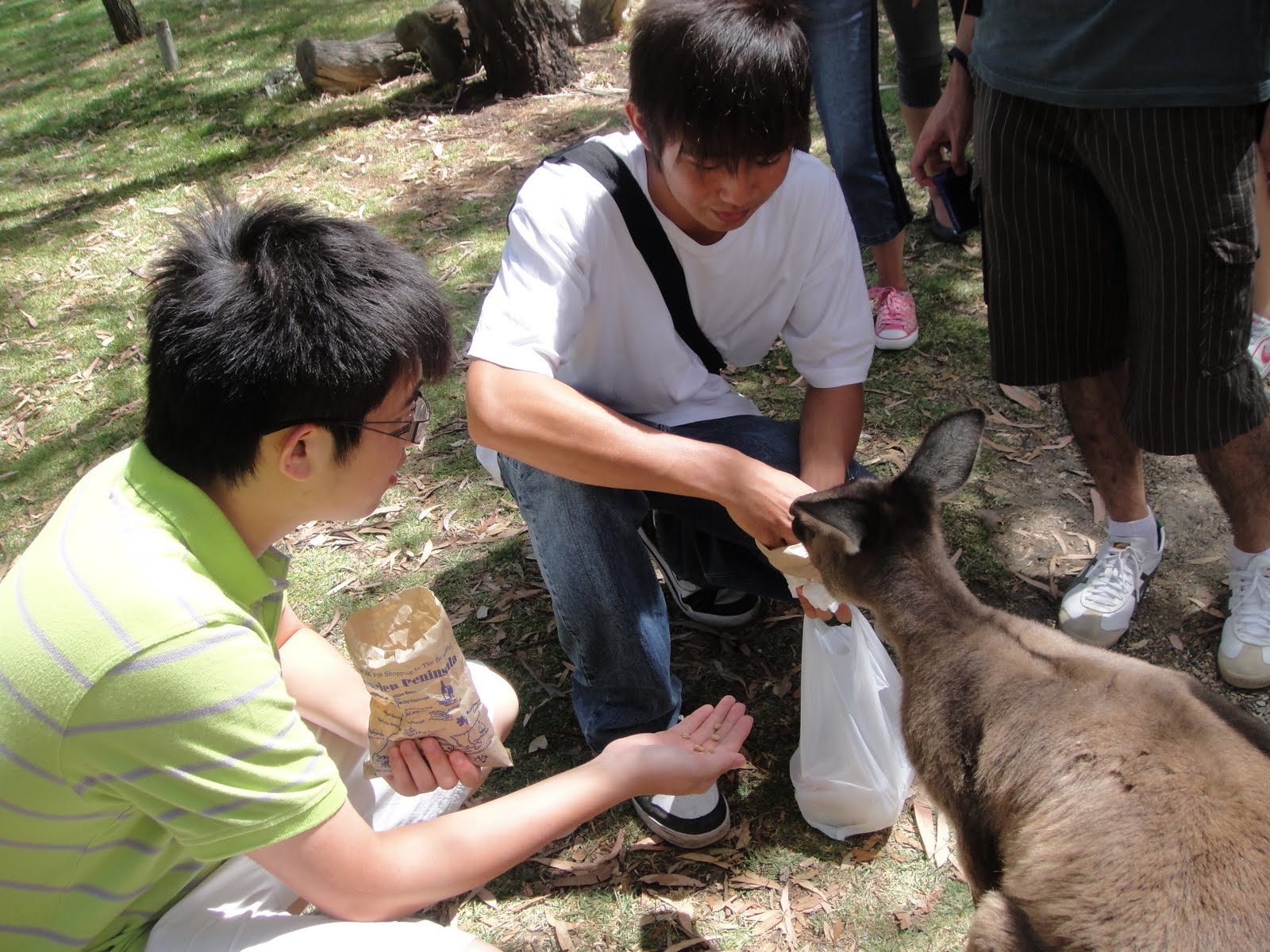 [DSC02839.JPG]
