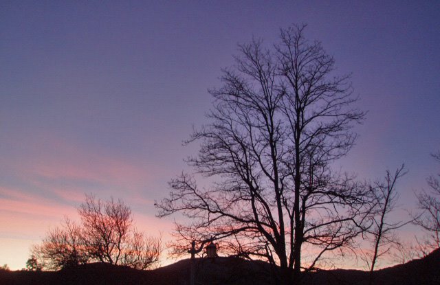 [winter+sunset.jpg]