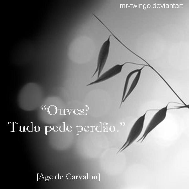 [age+de+carvalho.jpg]