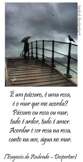 [imagem183.jpg]