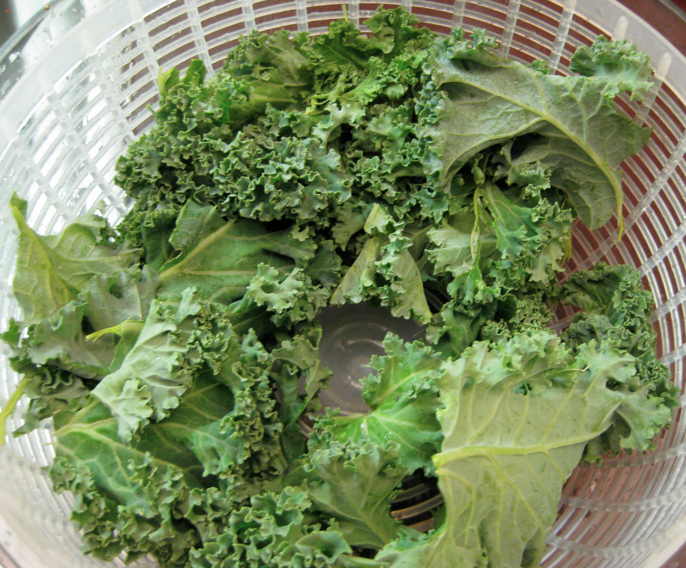 The Scribble Pad CSA Inspired Kale Chips