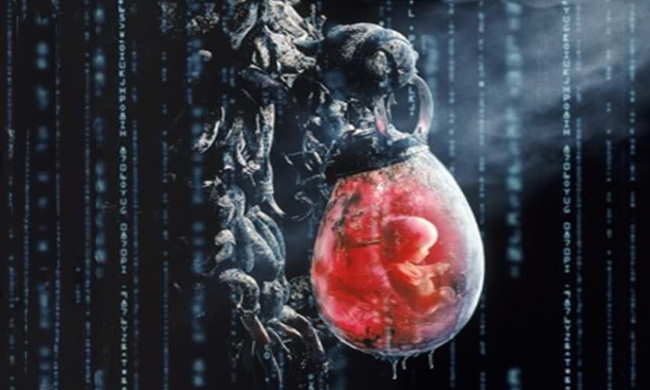 [matrix04.jpg]