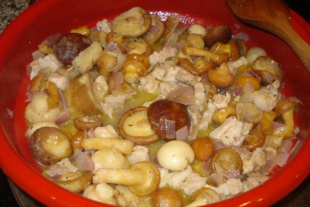 [cecipancettafunghi2.JPG]