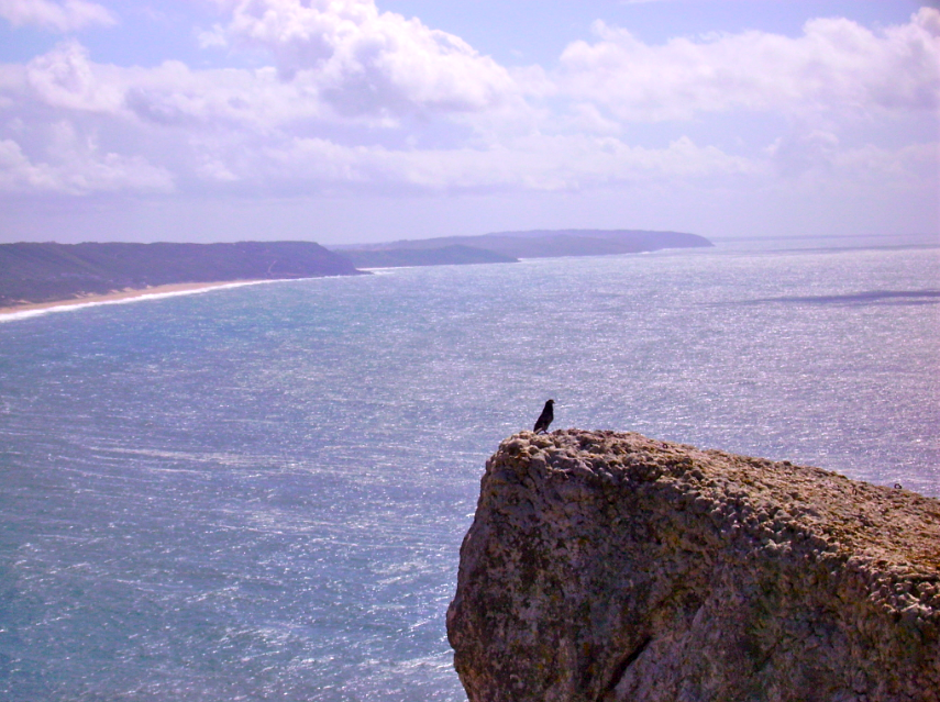 [screen-capture-8.png]