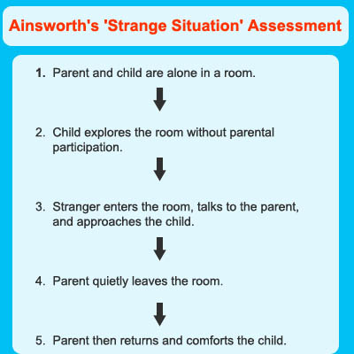 mary ainsworth attachment theory essay mary ainsworth attachment theory essay