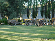 Villa Atuel - Bodega Goyenechea