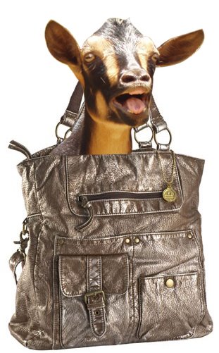 [BIGASSPURSE+copy.jpg]