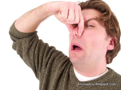 Manusia Mampu Mengingat Dan Membedakan Puluhan Ribu Aroma Manusia Mampu Mengingat Dan Membedakan Puluhan Ribu Aroma