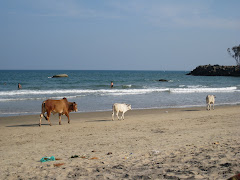 The Beach