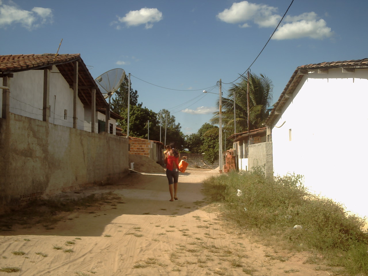 [PICT0354.JPG]